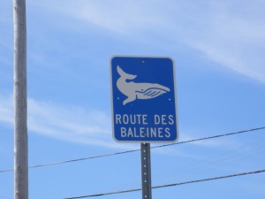 Route des baleines
