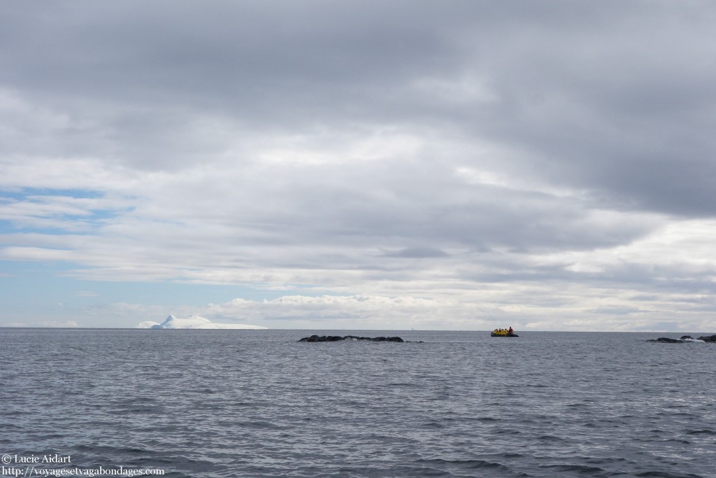Enterprise Island - croisière en Antarctique et excursion en zodiac