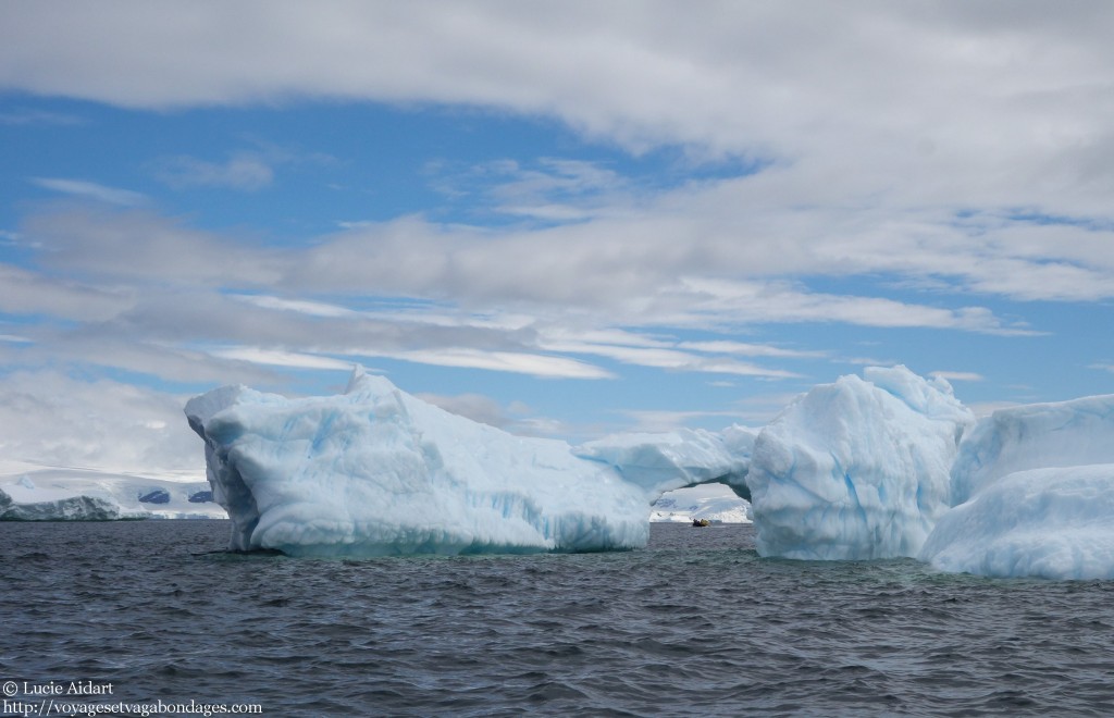 Le ballet des icebergs lors d'un voyage en Antarctique