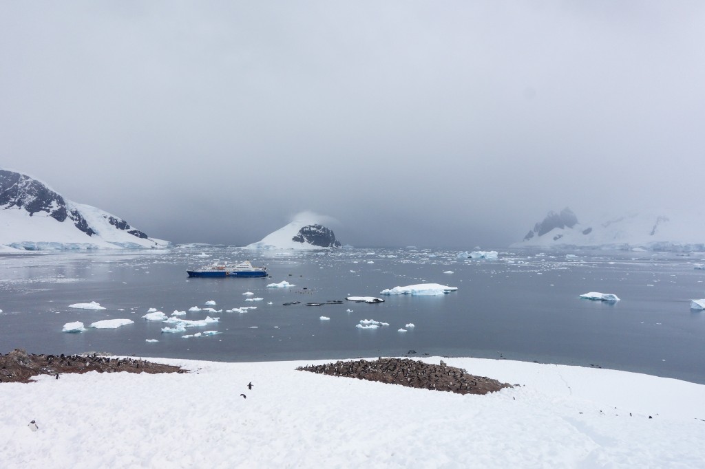 Danco Island - Fêter Noël en Antarctique - Une ambiance de fin du monde