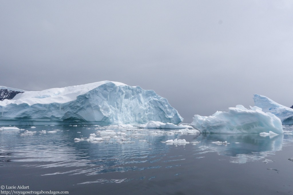 Ambiance fin du monde - Danco Island - Fêter Noël en Antarctique - Une ambiance de fin du monde