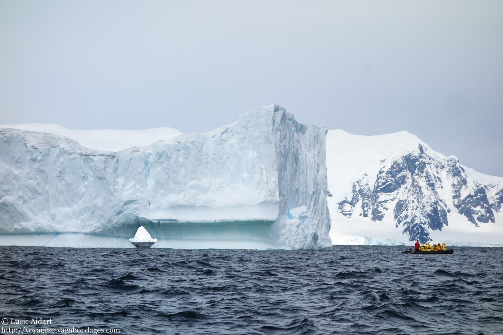 Whilelmina Bay - Fêter Noël en Antarctique
