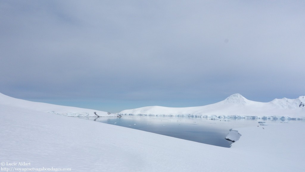 Dorian Bay - Le denier jour en Antarctique