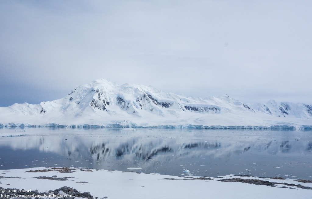 Dorian Bay - Le denier jour en Antarctique