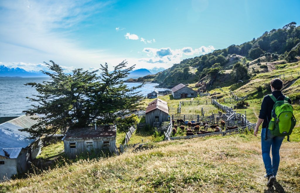 Que Faire Et Que Visiter à Ushuaïa Bonnes Adresses Et