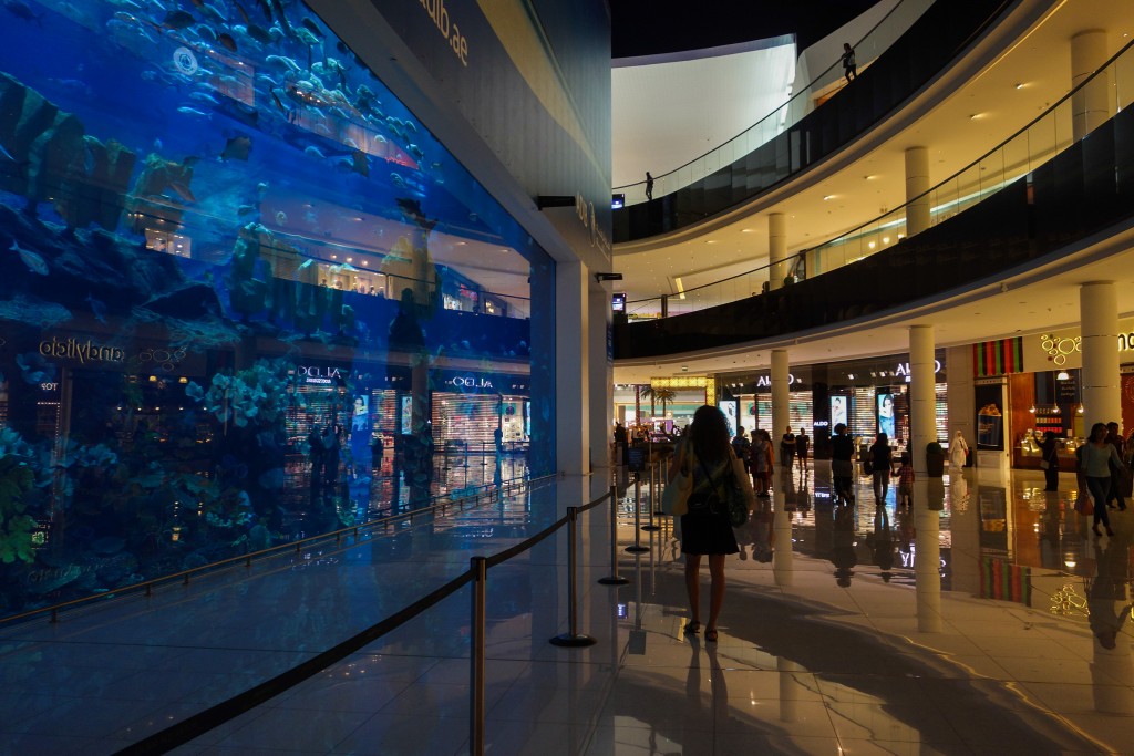 Aquarium dans le Dubai Mall, escale à Dubaï