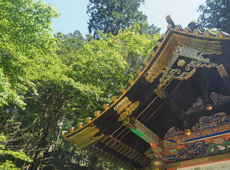 Nikko, entre nature et culture, sanctuaire dans la forêt