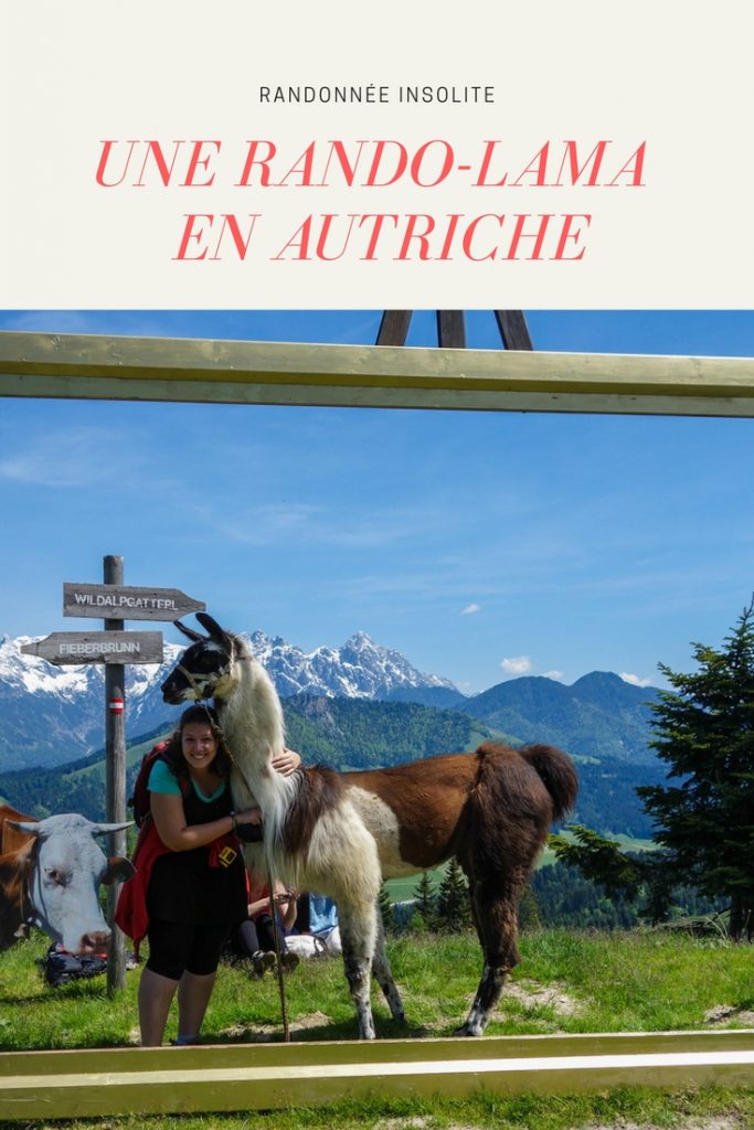 Histoires de lamas en Autriche - une randonnée lama au coeur du Tyrol autrichien
