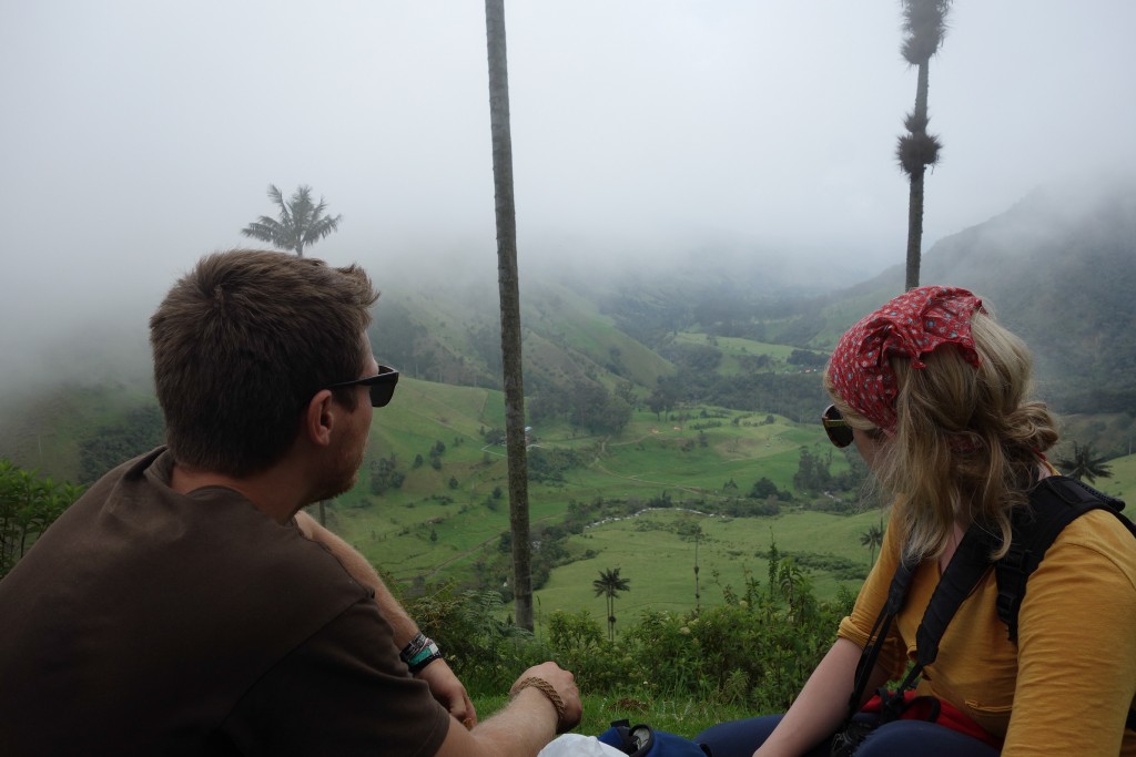 Salento, voyage en Colombie, Vallée de la Cocora