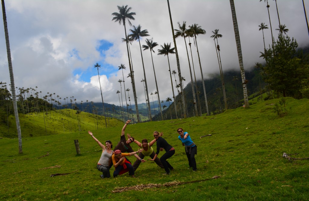 Salento, voyage en Colombie, Vallée de la Cocora
