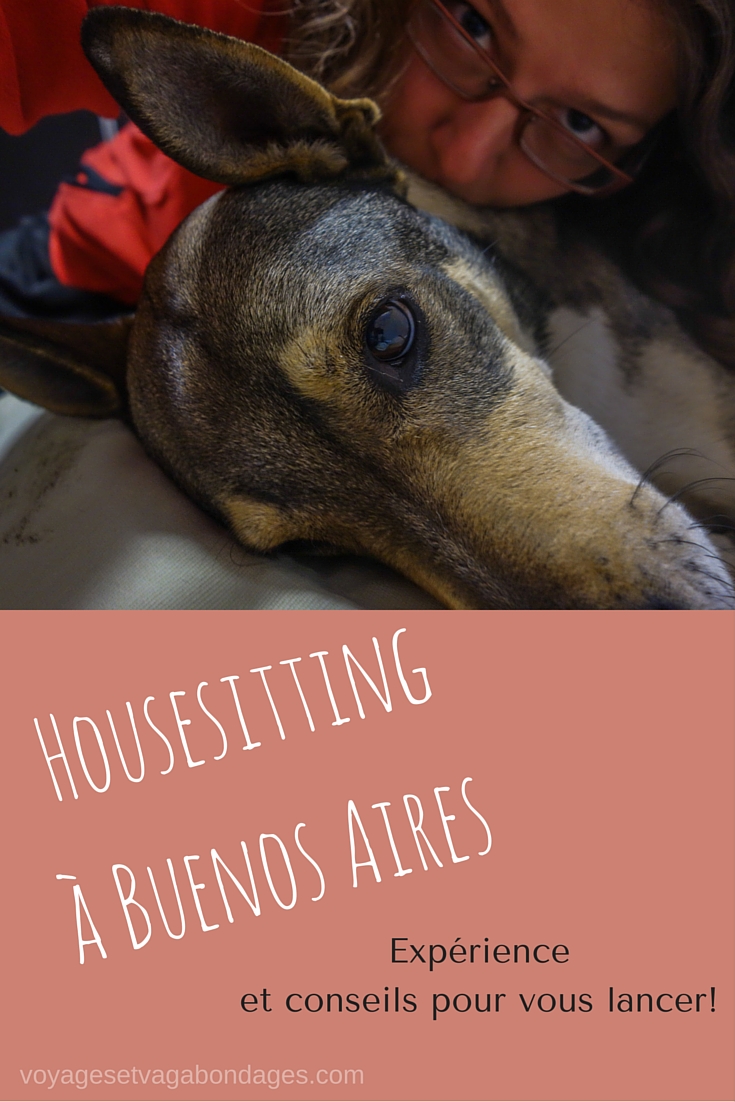 Housesitting à Buenos Aires
