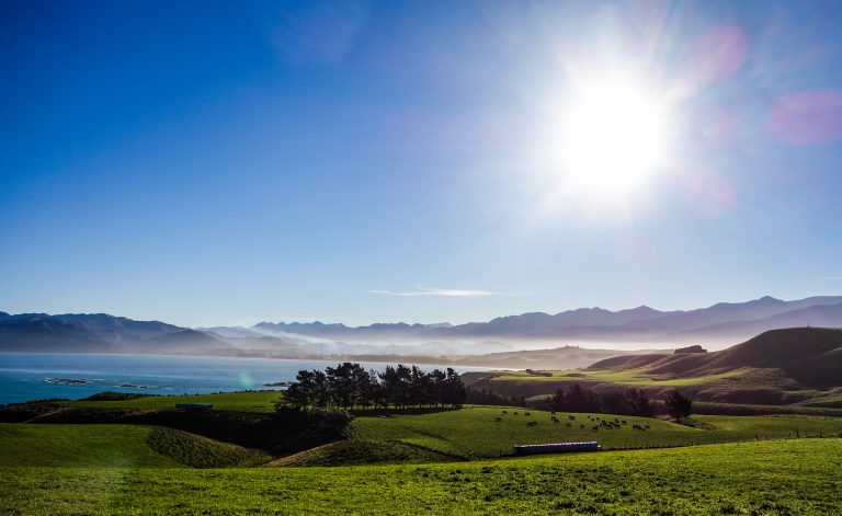 Randonnée à Kaikoura à la découverte des phoques et des plages