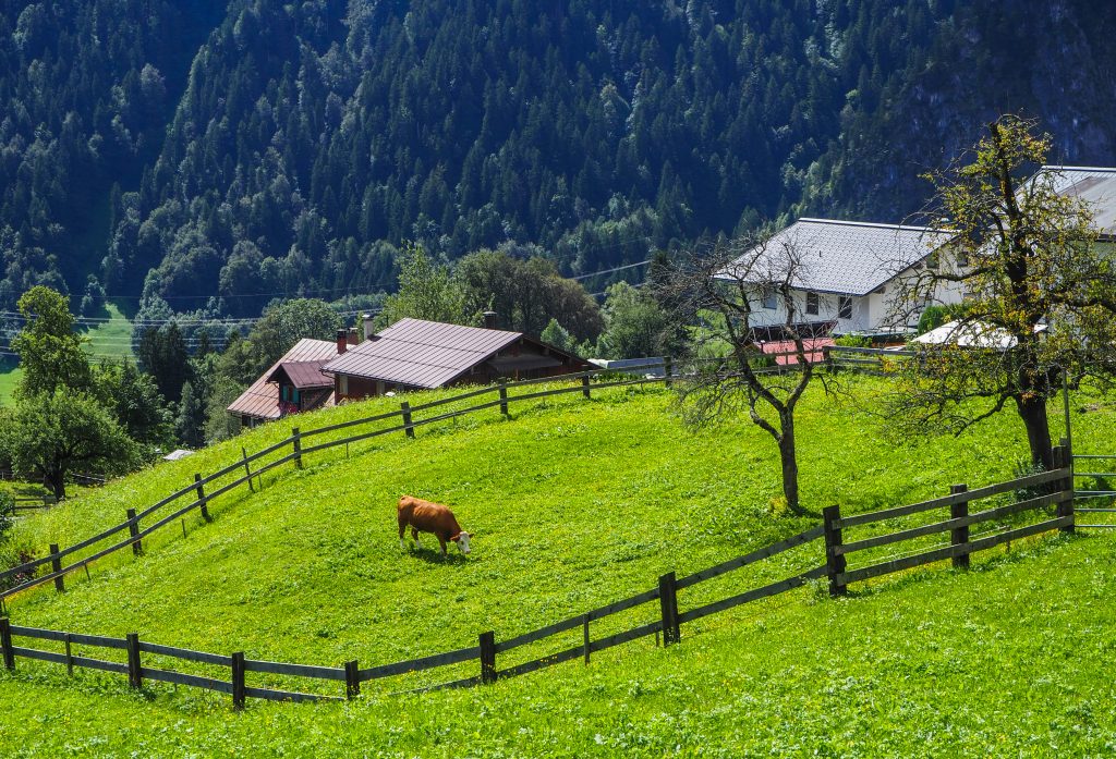 Randonner en Autriche: Dalaas - Randonner en Autriche dans le Vorarlberg - récits, photos et conseils pratiques pour une randonnée en Autriche spectaculaire