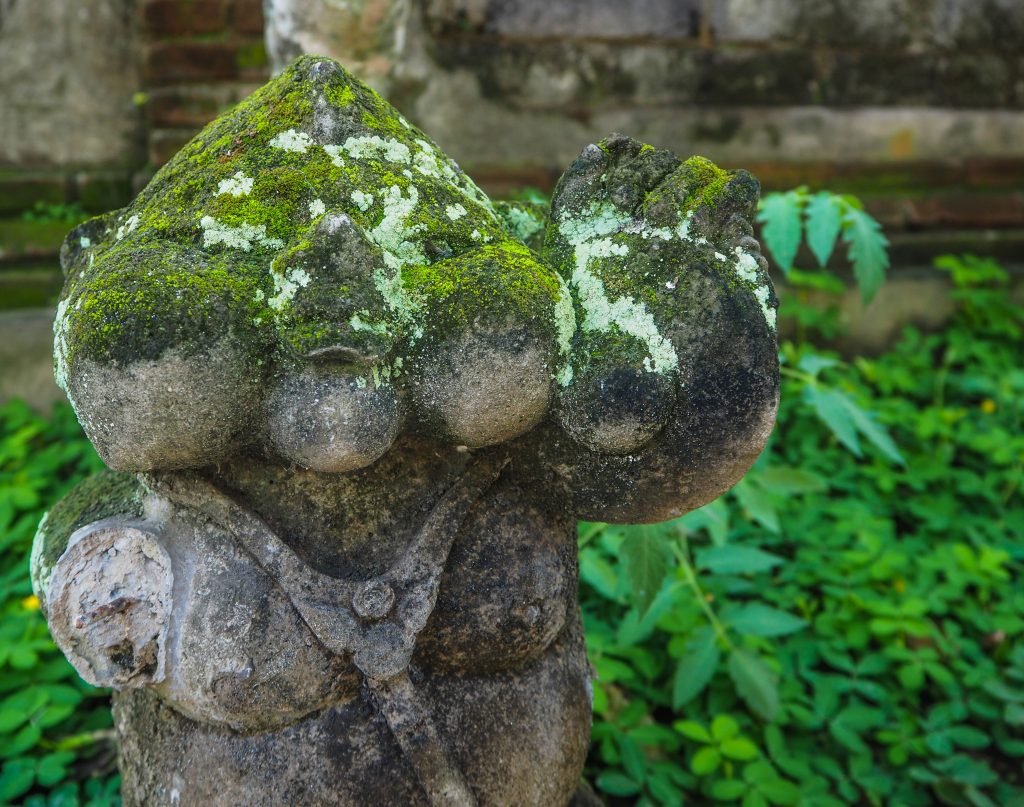 Voyager à Bali en Indonésie: à la quête de la beauté sur l'île des dieux