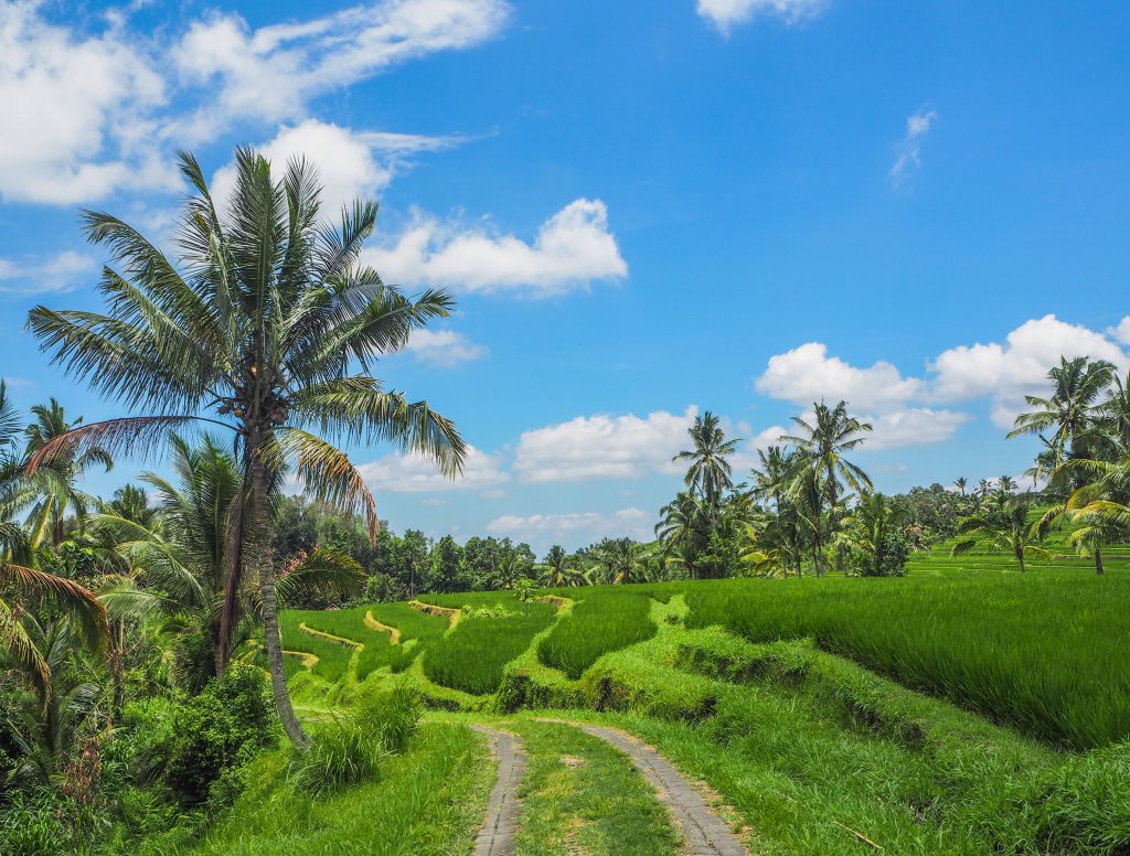 Voyager à Bali en Indonésie: à la quête de moments de beauté sur l'île des dieux