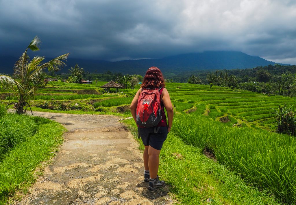 Voyager à Bali en Indonésie: à la recherche de la beauté sur l'île des dieux