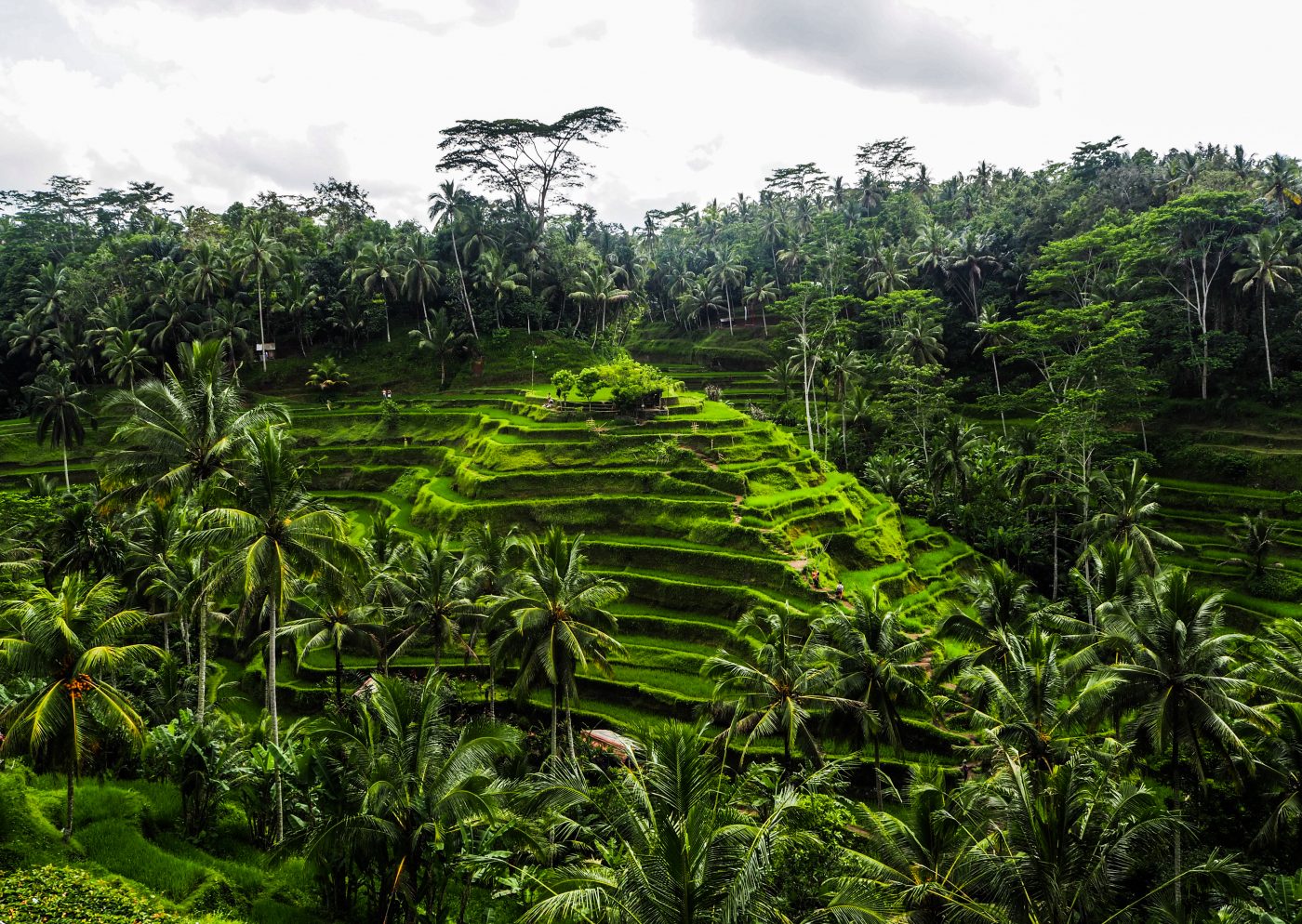 Voyager à Bali en Indonésie: à la quête de moments de beauté sur l'île des dieux