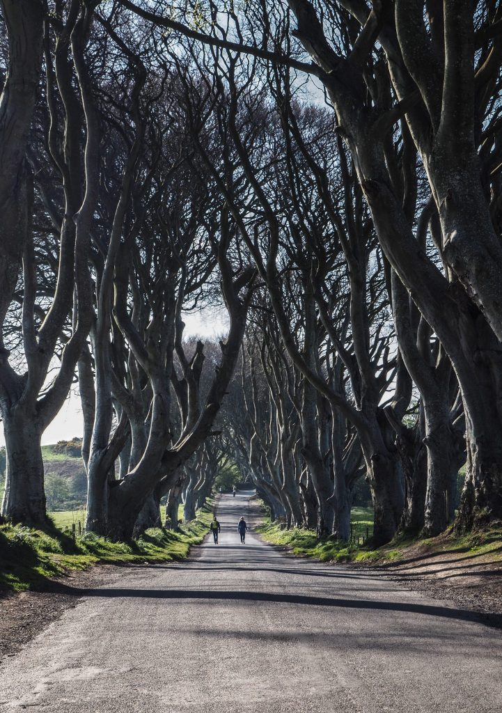Un voyage en Irlande du Nord sur la traces et lieux de tournage de la série HBO, Game of Thrones