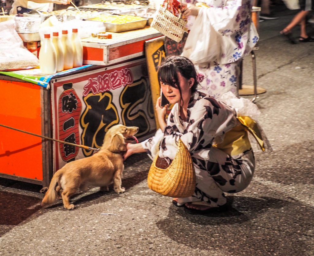 Festival Hanabi à Wakayama
