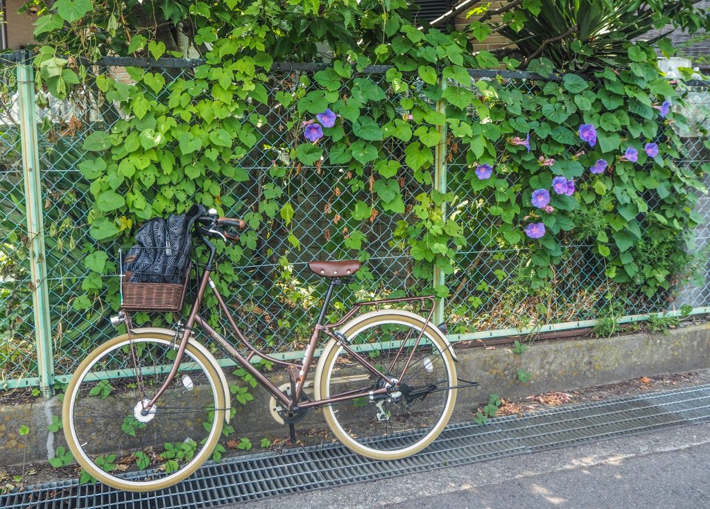 A vélo à la découverte de la ville de Wakayama lors d'un voyage authentique au Japon en mode slow travel