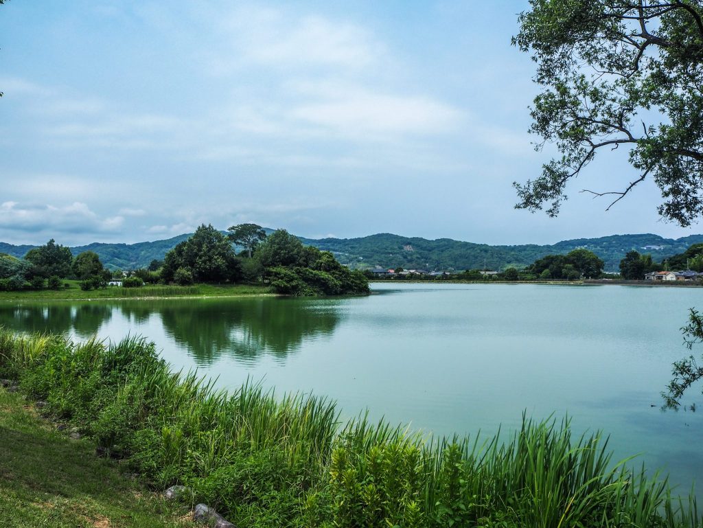 La campagne dans la ville de Wakayama lors d'un voyage authentique au Japon en mode slow travel