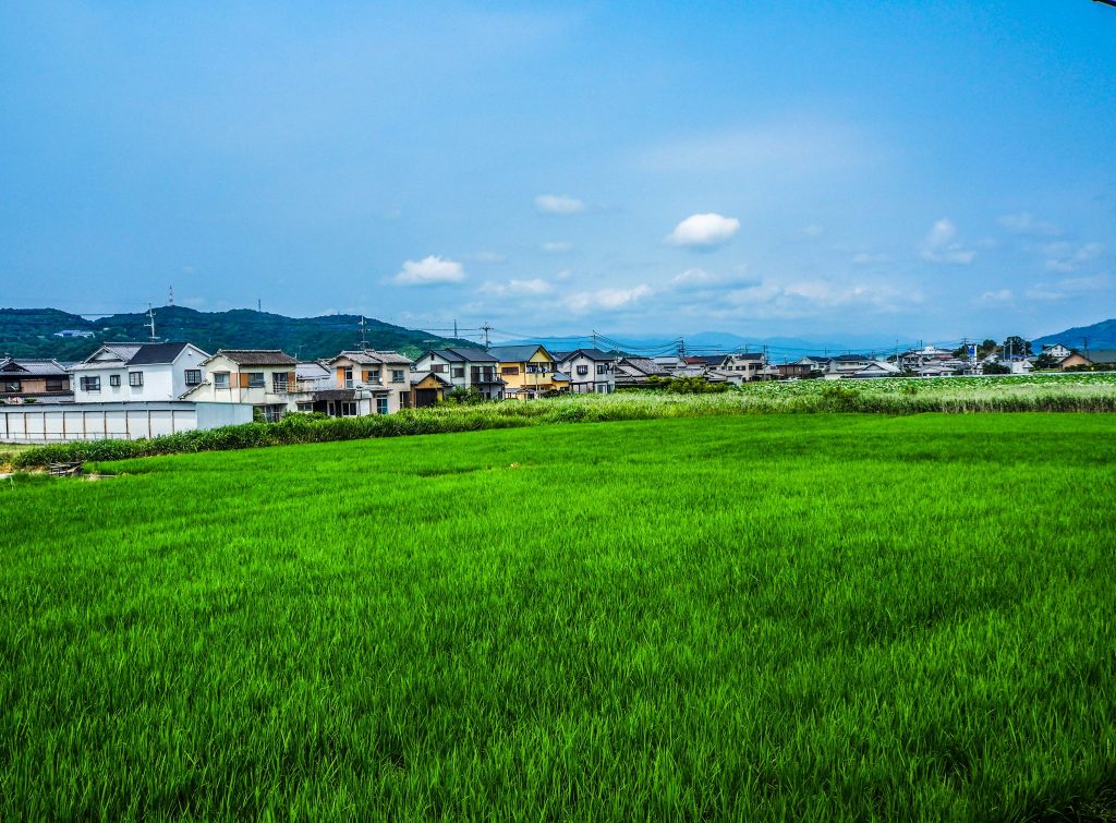 La campagne dans la ville de Wakayama lors d'un voyage authentique au Japon en mode slow travel