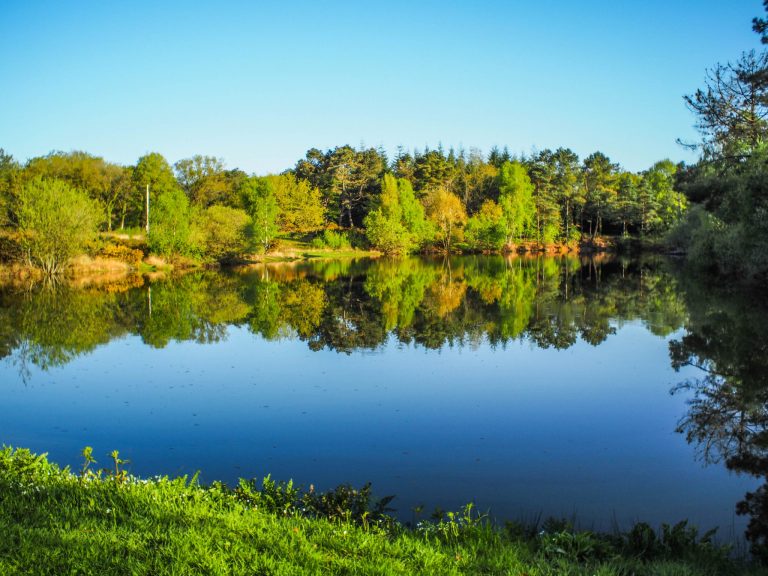 L'étang du Chaperon Rouge - Visiter Brocéliande en Bretagne, une terre de légendes et d'histoire