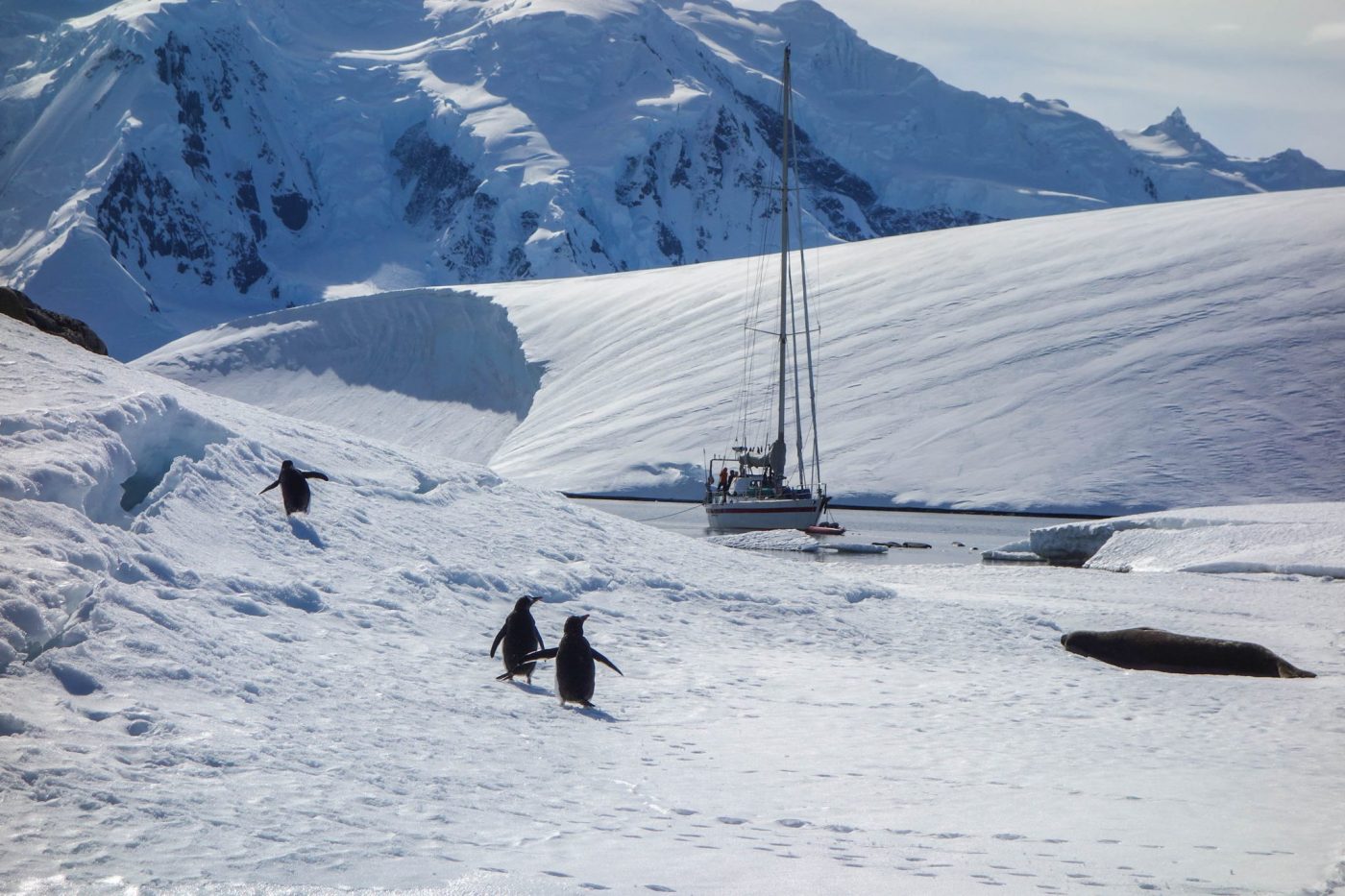 blog voyage antarctique