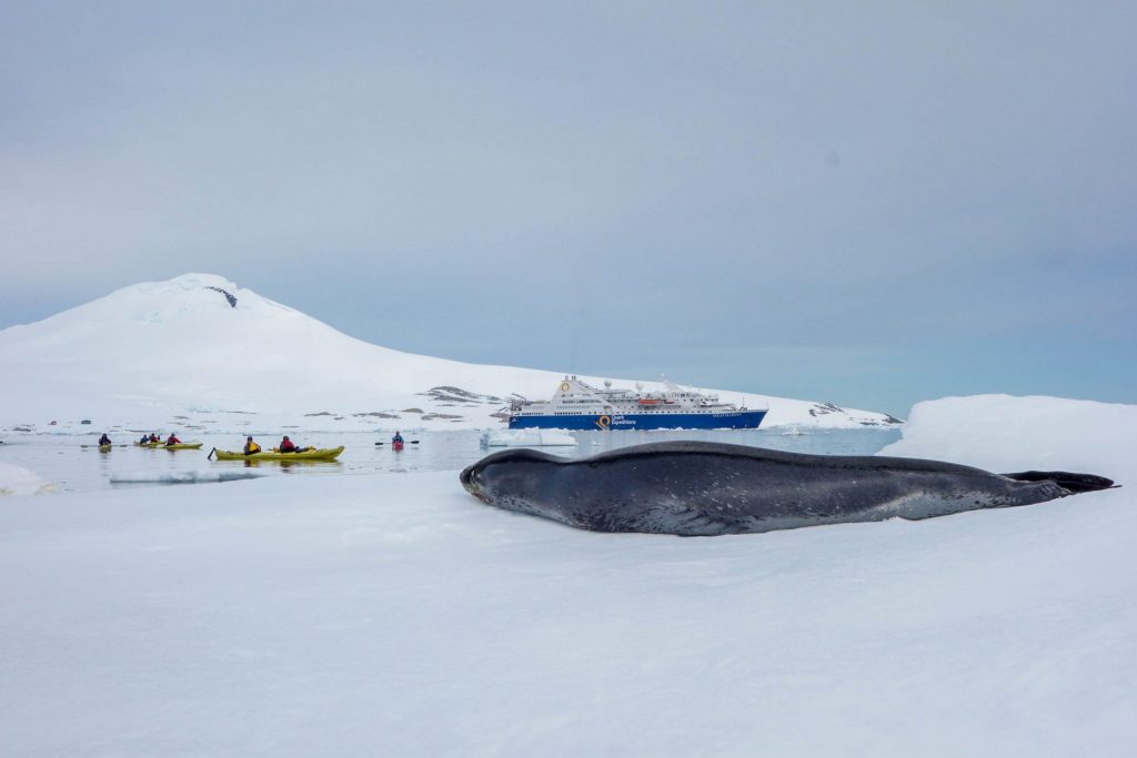 Faut-il voyager en Antarctique à l'heure du réchauffement climatique - Comment préparer son voyage en Antarctique? Le guide pratique complet pour tout savoir: budget, itinéraire, activités, équipement, faune, voyage responsable, quelle croisière choisir, que faire en Patagonie et où dormir à Ushuaia...