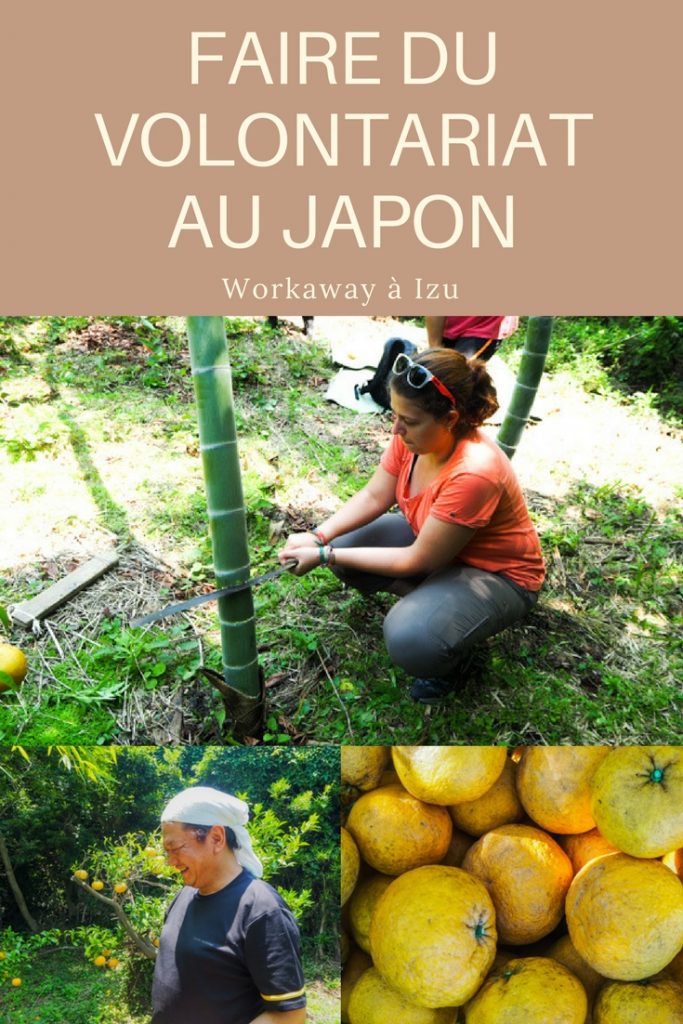 L'Autre Japon, à la découverte de la Péninsule d'Izu lors d'un volontariat Workaway au Japon