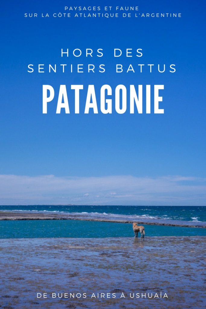 Patagonie hors des sentiers battus - Patagonie argentine maritime sur la côte de l'Océan Atlantique