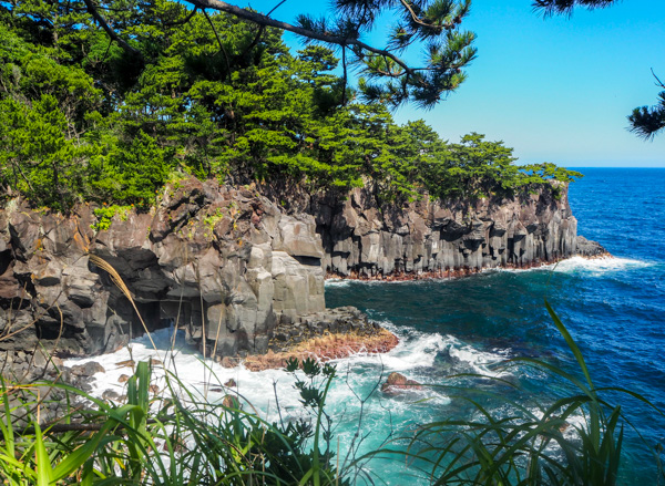 Randonnée le long de la côte Jogasaki à Izukogen - L'autre Japon sur la Péninsule d'Izu au Japon 