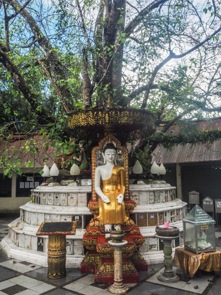 Au temple de Doi Suthep - Visiter Chiang Mai : le guide pratique ultime du voyage lent et nomade à Chiang Mai en Thaïlande