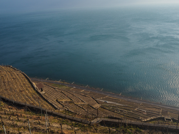 Les vignes du Lavaux dans le canton de Vaud en Suisse - Voyages et Vagabondages au fil des mois - Bilan voyage mensuel - Février 2018 en Suisse