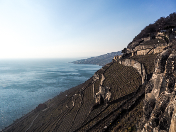 Les vignes du Lavaux dans le canton de Vaud en Suisse - Voyages et Vagabondages au fil des mois - Bilan voyage mensuel - Février 2018 en Suisse