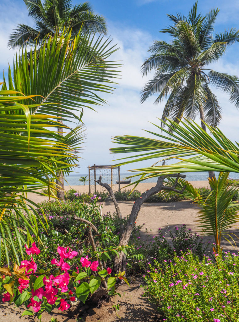 Le Coconut Garden Beach Resort à Maumere sur l'île de Flores: mon petit coin de paradis en Indonésie. Découvrez un paisible eco-resort pas comme les autres, qui ravira les amoureux et les voyageurs solo en mal de plages paradisiaques et de tranquillité