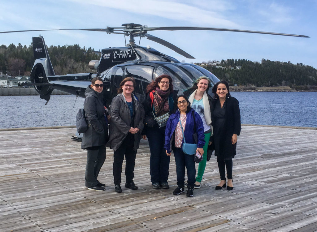 Tour d'hélicoptère au-dessus du Fjord du Saguenay - Visiter la région du Saguenay Lac Saint-Jean