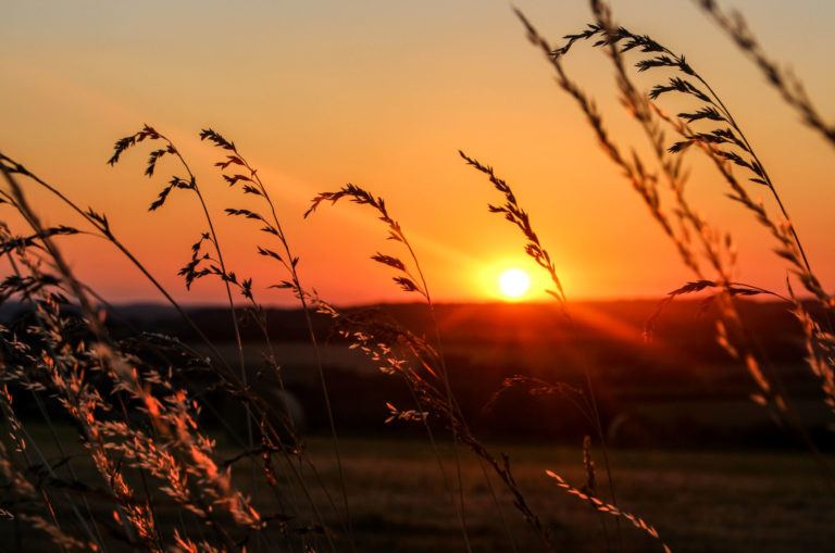 Quelques idées de week-end insolite, nature et déconnexion en Berry pour se ressourcer lors d'un voyage en France: hébergements insolites, activités uniques et détente, moments de nature et de déconnexion pour se retrouver et revenir à l'essentiel.