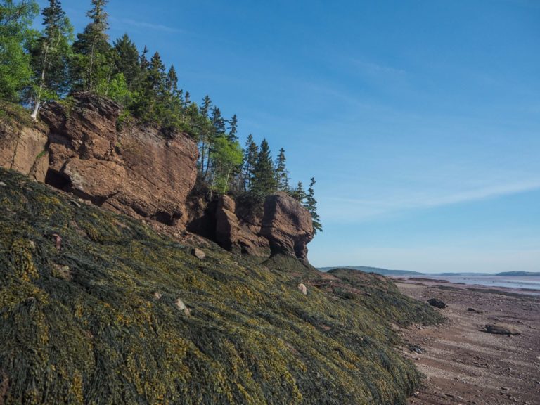 Visiter Hopewell Rocks dans la Baie de Fundy au Nouveau-Brunswick - Les grandes marées et les grandes émotions - Canada - Visiter le Canada en Français