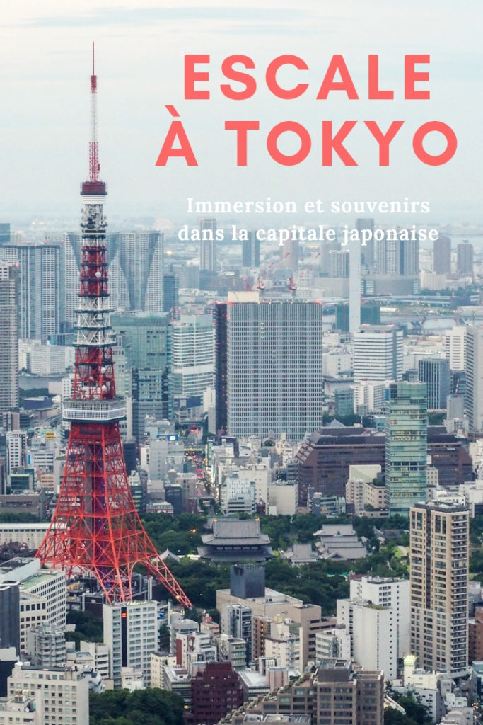 Escale à Tokyo au Japon - Que faire et que visiter en une journée à Tokyo? Récit, souvenirs et immersion dans la capitale japonaise