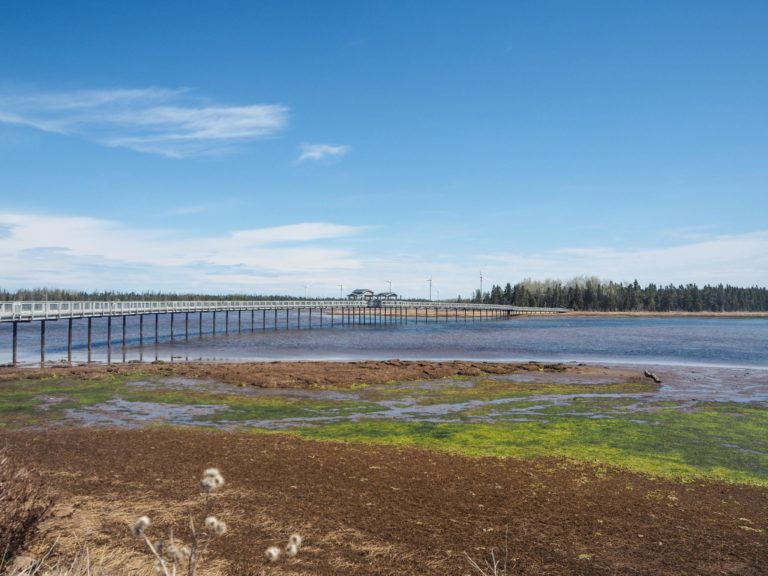 Road-trip au Nouveau-Brunswick: à la découverte du Canada hors des sentiers battus