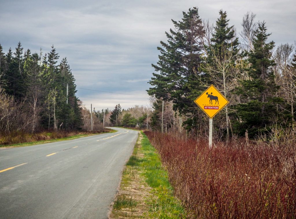 Road-trip au Nouveau-Brunswick: à la découverte du Canada hors des sentiers battus