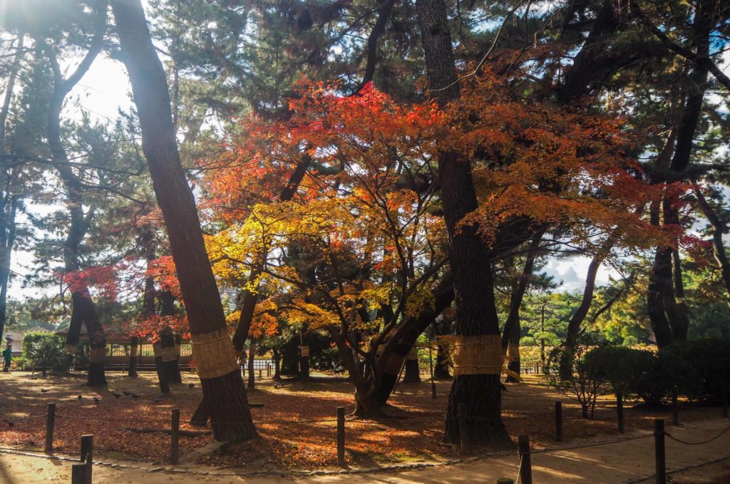 Koraku-en, le jardin japonais à Okayama - Visiter Okayama au Japon, une ville au coeur de la campagne japonaise