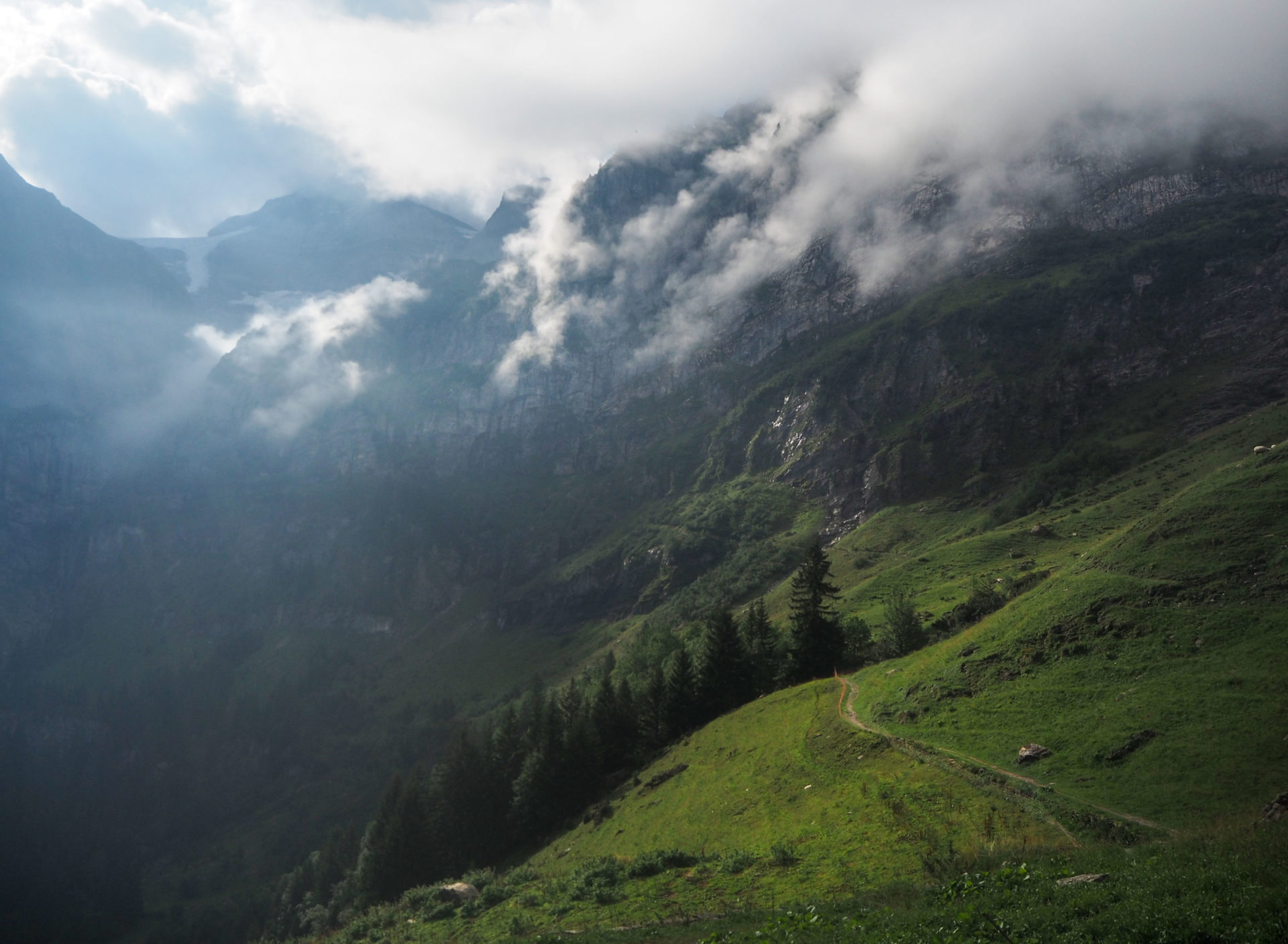 Mouton - Faire le Tour des Dents du Midi en 6 jours en solo et en mode slow - Une randonnée itinérante, un trek à découvrir en Suisse dans le Valais