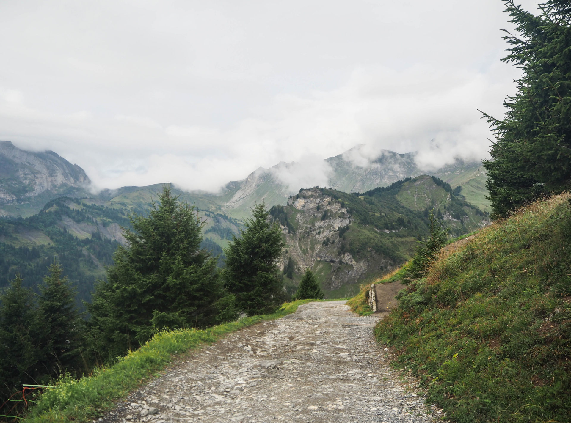 Faire du VTT électrique à Champéry  - Champéry: un séjour détente, nature et sport en Région Dents du Midi, au coeur du Valais dans les Alpes Suisses