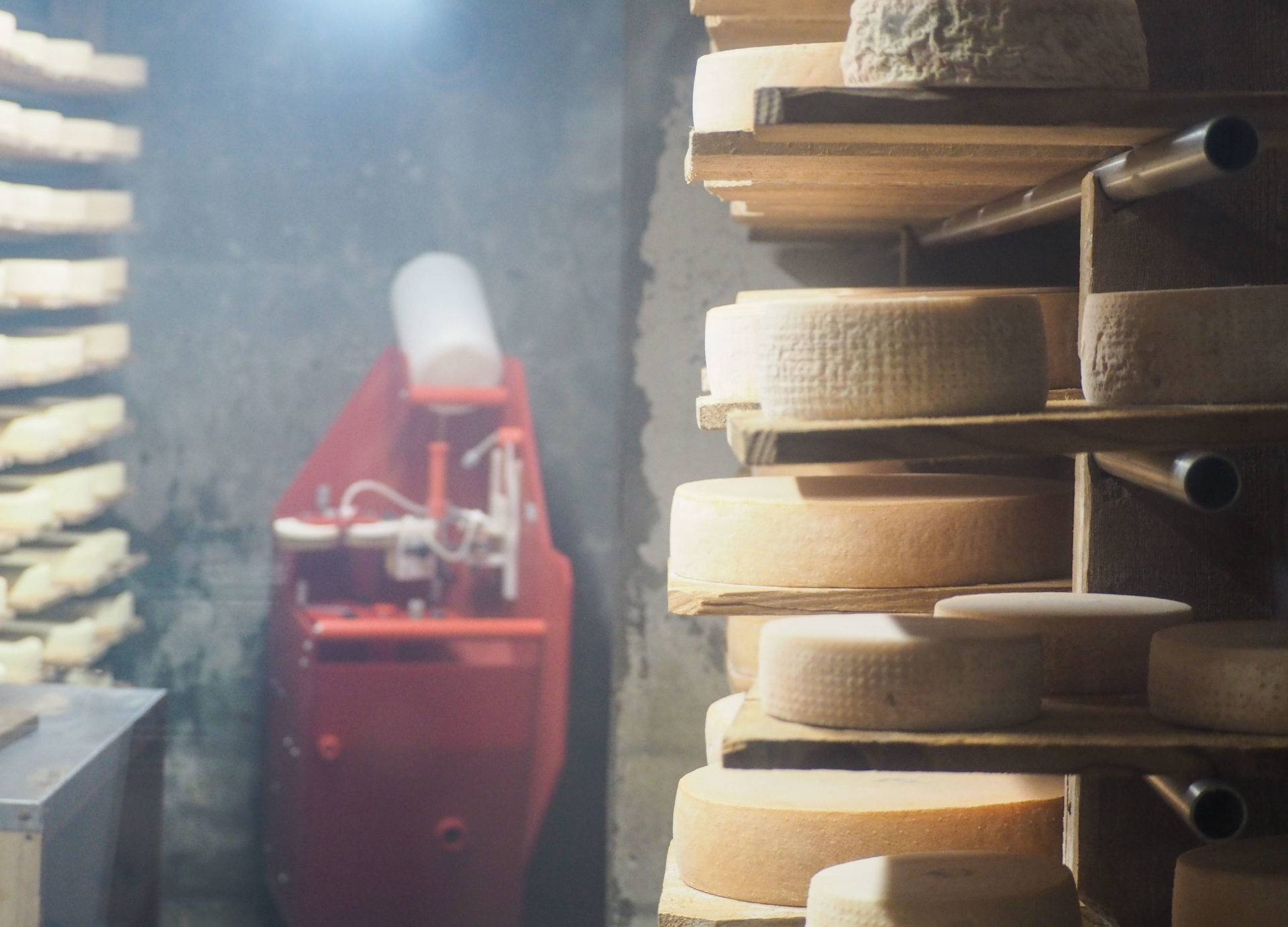 Fabrication traditionnelle de fromage à raclette à l'Alpage Lapisa à Champéry  - Champéry: un séjour détente, nature et sport en Région Dents du Midi, au coeur du Valais dans les Alpes Suisses