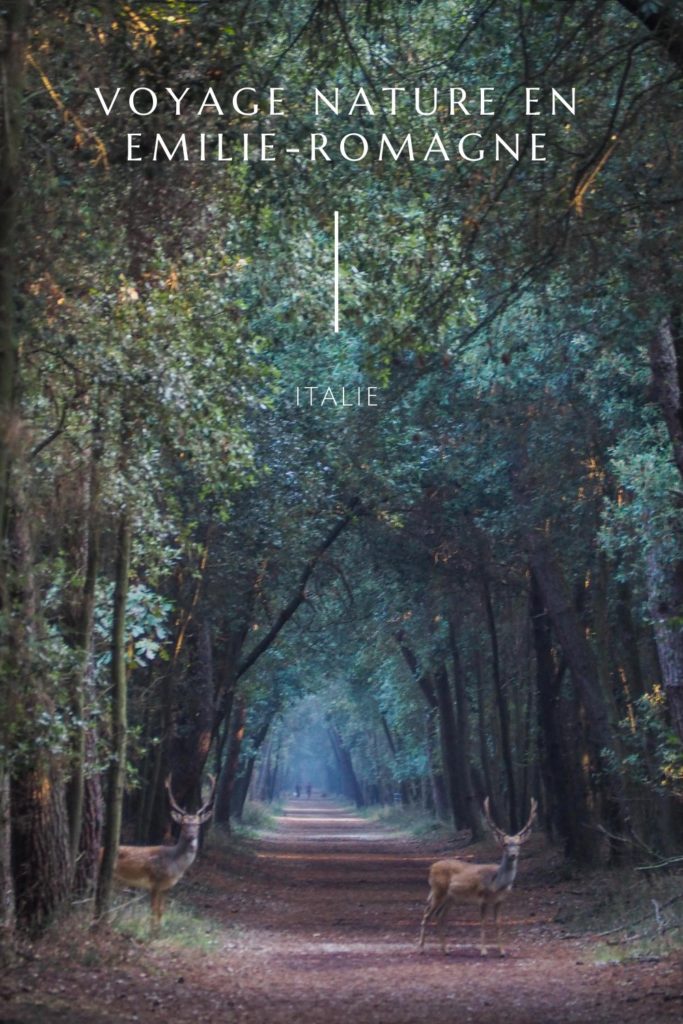 Un voyage nature en Emilie-Romagne en Italie - Voyages et Vagabondages - Voyager en Italie