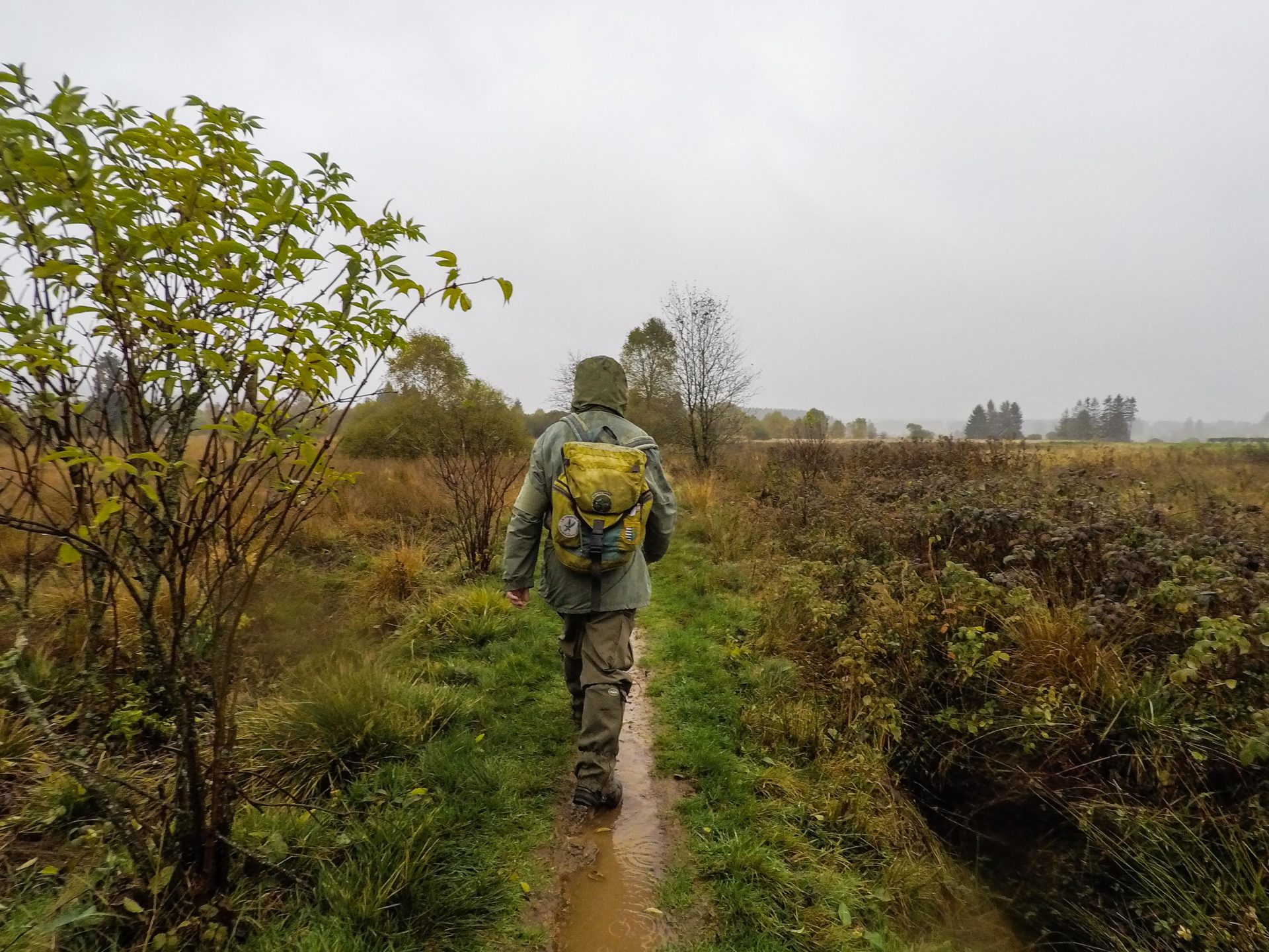 Parc naturel des Hautes-Fagnes à l'automne - Ardenne Belge - Province de Liège - Voyage slow en Belgique