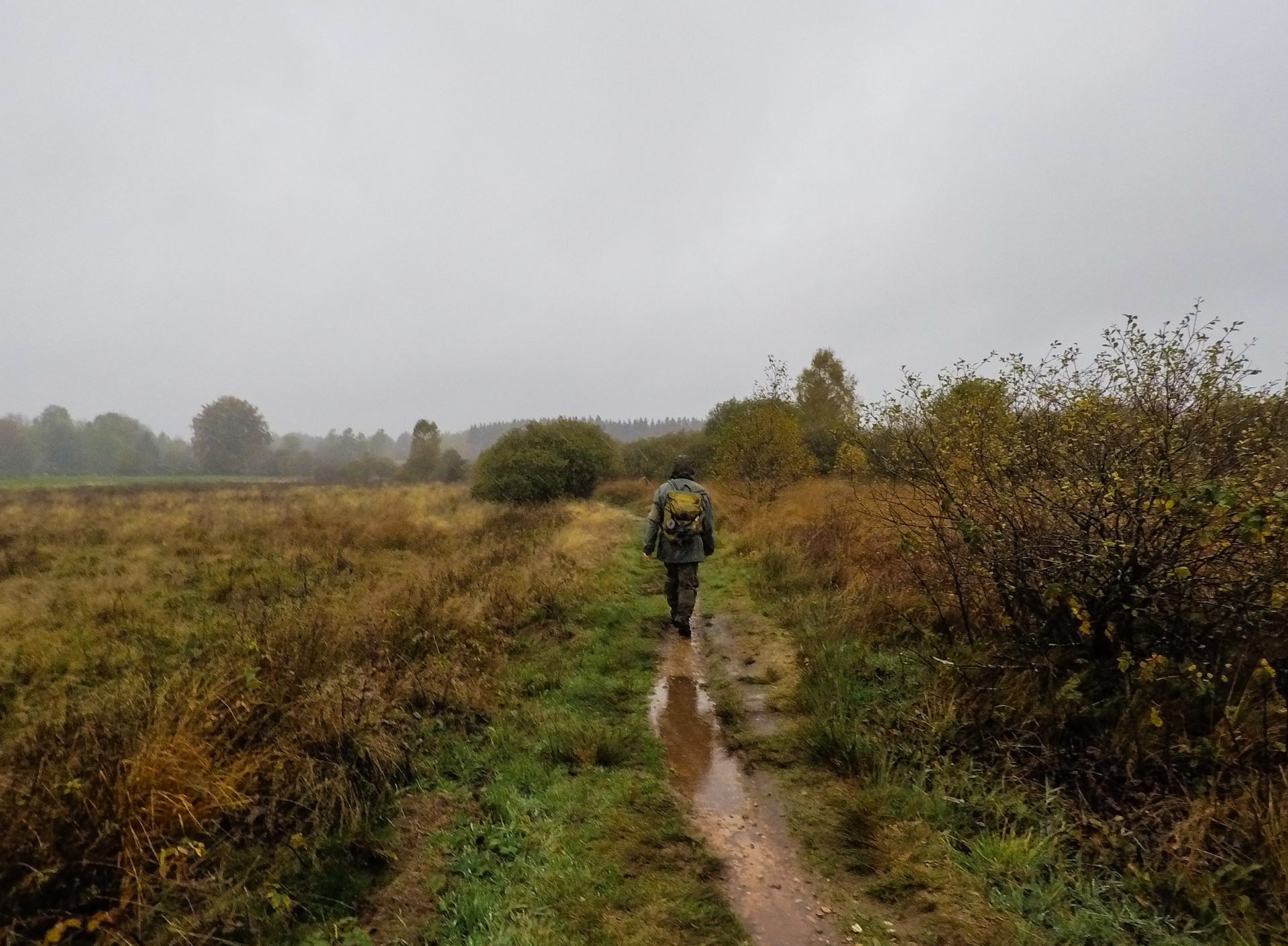 Parc naturel des Hautes-Fagnes à l'automne - Ardenne Belge - Province de Liège - Voyage slow en Belgique