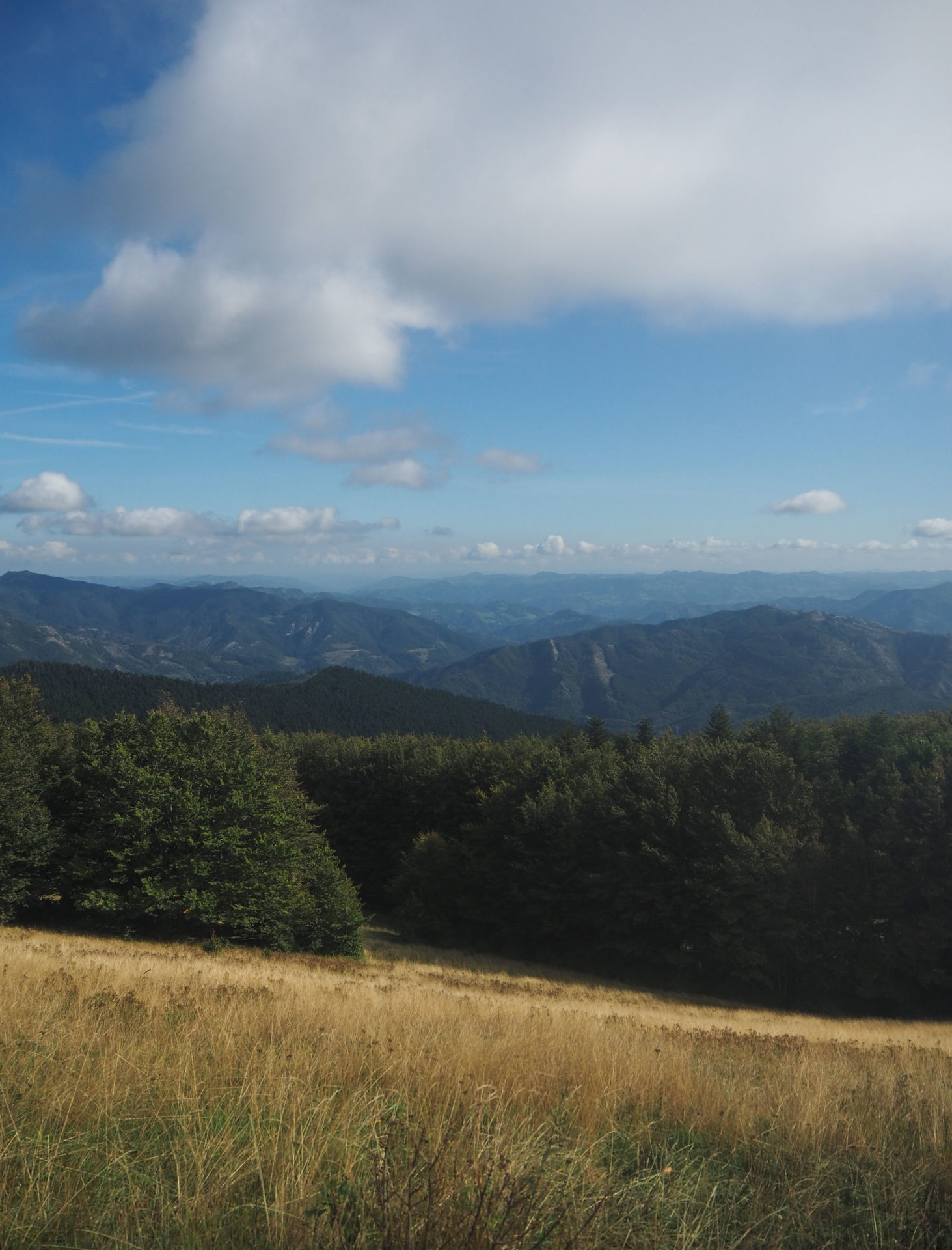 Un voyage nature en Emilie-Romagne, au coeur du Delta du Pô sur la côte Adriatique et du Parc national de la Forêt Casentinesi, Mont Falterona et Campigna dans les Apennins en Italie